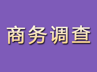 东平商务调查